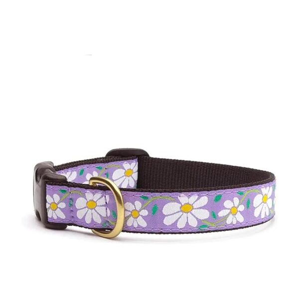 UpCountry Daisy Patterned Dog Collar, 12-18 inches Long, 1 inch Wide, Made in USA