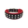 Upscale Leather Dog Collar with Studded Trim and Soft Padded Padding