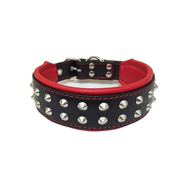 Upscale Leather Dog Collar with Studded Trim and Soft Padded Padding