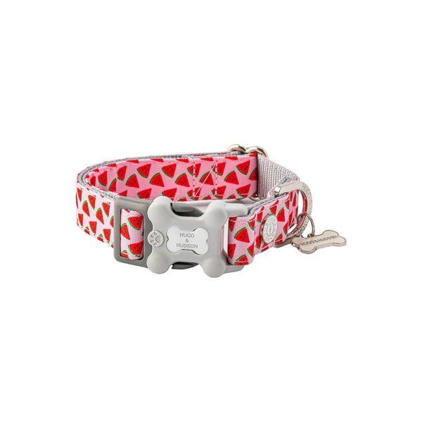 Urge Parenting with Adjustable Nylon Dog Collar and Rivets