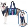 Use Dog Lift Harness with Two Handles for Supporting Pets with Mobility Issues