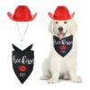 Valentine's Day Costume for Cats and Dogs with Red Cowboy Hat and Bandana