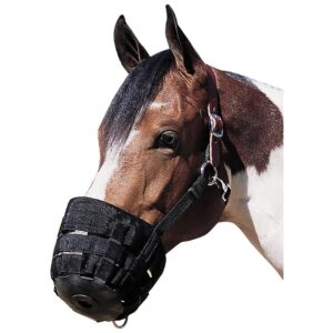 Vegetable Tanned Leather Crown Grazing Muzzle for Medium Breed Horses