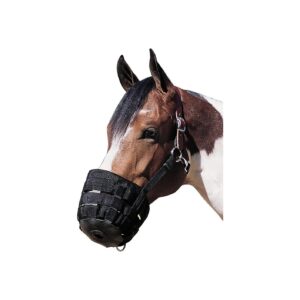 Vegetable Tanned Leather Grazing Muzzle with Neoprene Liner and Adjustable Buckles