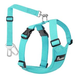 Vehicle Seat Belt Dog Safety Vest Harness Adjustable Strap for Small Medium Dogs Cats