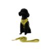 Velvet Padded Dog Harness and Leash Set with Soft Handle for Easy Walking