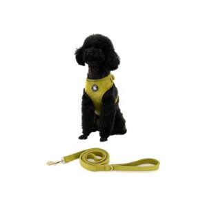 Velvet Padded Dog Harness and Leash Set with Soft Handle for Easy Walking