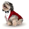 Velvet Tuxedo and Bandana Dog Suit for Wedding Party Everett