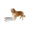 Versatile Pet Feeding Solutions Elevated Stand with 2 Stainless Steel Bowls