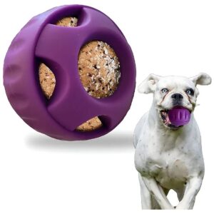 Versatile Portable Popsicle Dog Toy for Dogs of All Breeds