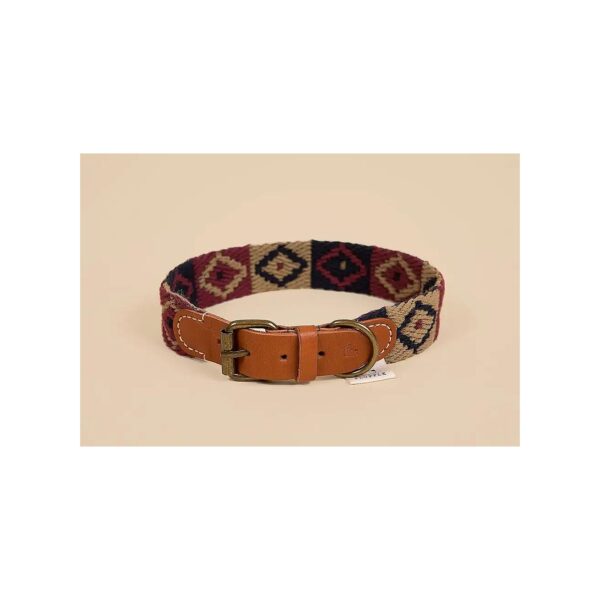 Versatile Soft Dog Collar in Cotton Webbing and Leather for Small Medium Large Dogs