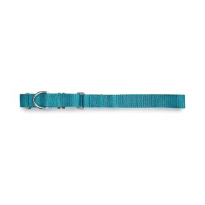 Versatile and Durable Nylon Martingale Dog Collar for Dogs of All Temperaments