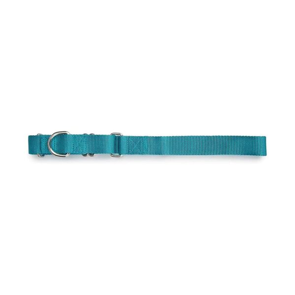 Versatile and Durable Nylon Martingale Dog Collar for Dogs of All Temperaments