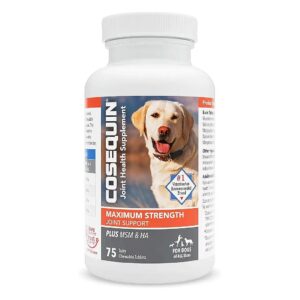 Vet-Recommended Dog Joint Supplement with Glucosamine Hydrochloride and MSM