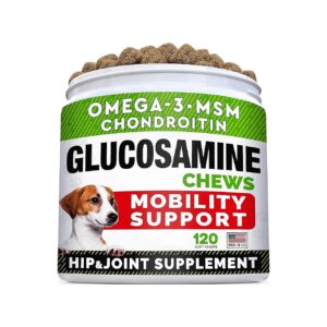 Vet-Recommended Glucosamine and Chondroitin Chews for Hip and Joint Care in Dogs