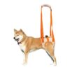 Veterinarian-Approved Dog Lift Harness for Senior Dogs with Poor Stability