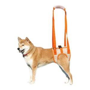 Veterinarian-Approved Dog Lift Harness for Senior Dogs with Poor Stability