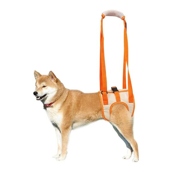 Veterinarian-Approved Dog Lift Harness for Senior Dogs with Poor Stability