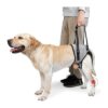 Veterinarian Approved Medium Dog Sling for Back Leg Hip Support and Rehabilitation