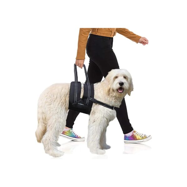 Veterinarian-Approved XXL Dog Support Harness for Joint Injuries and Arthritis