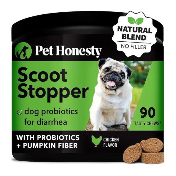 Veterinarian-Recommended Digestive Supplement for Scooting Dogs