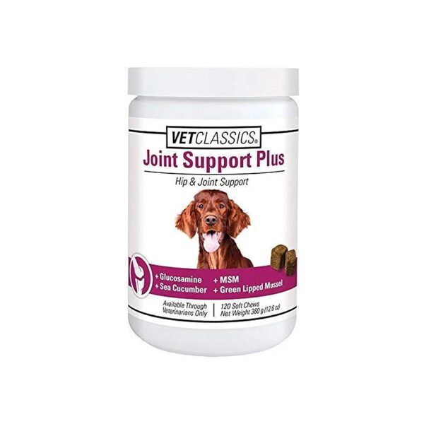 Veterinarian-Recommended Dog Joint Supplement for Healthy Joint Function