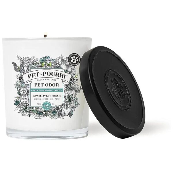 Veterinarian Recommended Pet Odor Freshener Candle with Jasmine and Fresh Air Scents