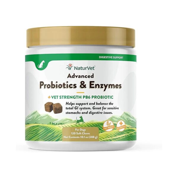 Veterinarian Strength Probiotic Supplement for Dogs Digestive Issues