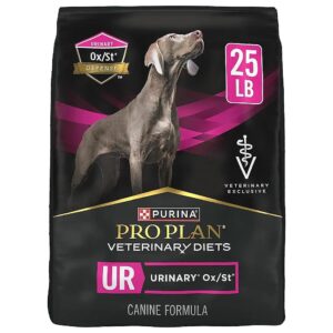 Veterinary-Recommended Dry Kibble for Adult Canines with Established Urinary Tract Needs