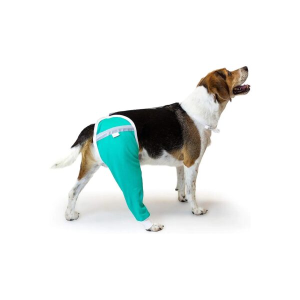 Vets Worldwide Recommended Hip and Thigh Wound Protective Sleeve for Dogs