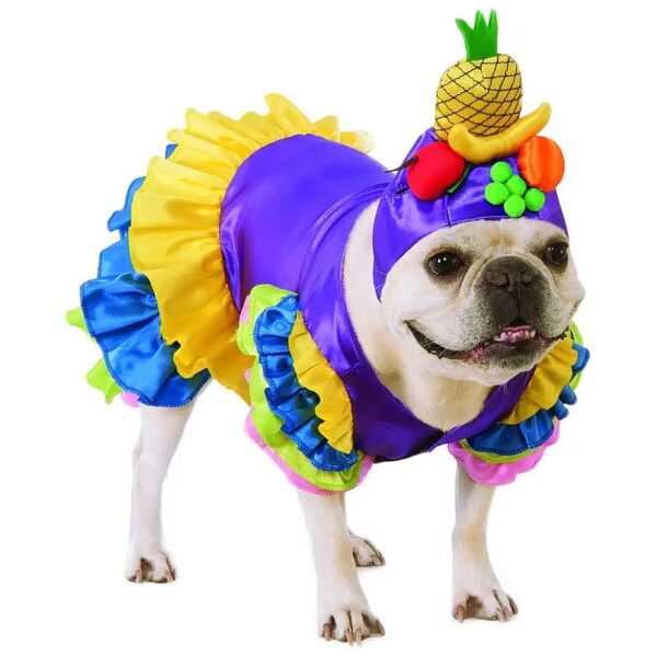 Vibrant Colorful Ruffled Fruit Hat Dog Costume Size XLarge Pet Wear