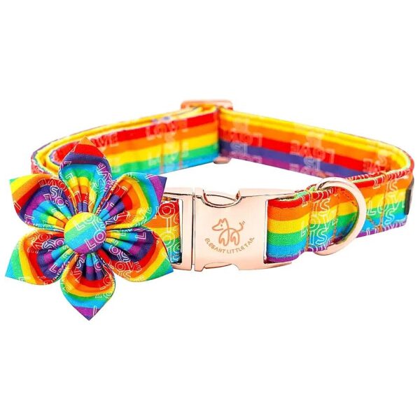 Vibrant Rainbow Pride Flag Dog Collar with Flower and Adjustable Buckle for Pet Gift