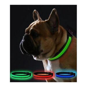 Viscosity LED Collar for Dogs with Easy-Fit System and USB Rechargeable Design