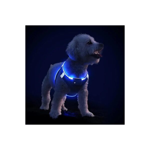 Visible Comfort Dog Harness for Small Medium Dogs USB Rechargeable LED Safety Walk Tool