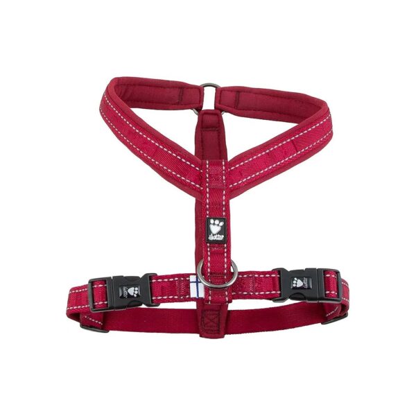 Visible Comfortable Adjustable Neoprene Dog Harness in Lingon Color