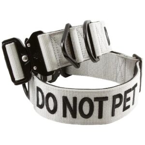 Visible Warning Dog Collar for Preventing Accidents and Incidents on Walks and Training