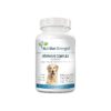 Vitamin B Supplement for Dogs Promotes Healthy Blood Cell and Nervous System Health