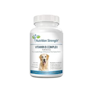 Vitamin B Supplement for Dogs Promotes Healthy Blood Cell and Nervous System Health