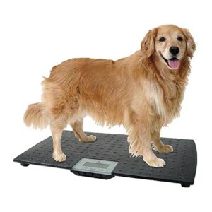 WC Redmon Large Dog Scale Weighs up to 225 lbs with Ease