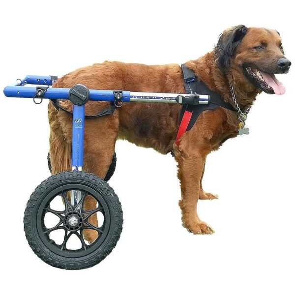 Walkin Wheels Dog Wheelchair for Back Legs Support Heavy Large Dogs 70-180 Pounds