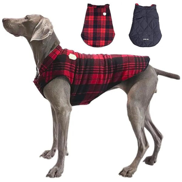 Warm Graphene Heat Storage Padding Dog Winter Coat with Reflective Logo and Leash Hole