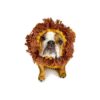 Warm Lion Mane Costume for Large Dogs with Soft Yarn Ear Covers for Winters and Holidays