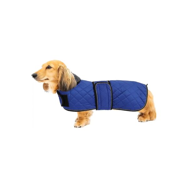 Warm Waterproof Dachshund Winter Coat with Fleece Lining for Medium Large Dogs