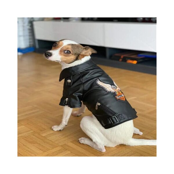 Warm Waterproof Puppy Jackets for Small and Medium Dogs with Cool Animal Embroidery