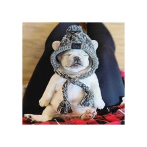 Warm and Comfortable Grey Pom Pom Dog Hat, Large Size, for Small to Medium Breed Dogs