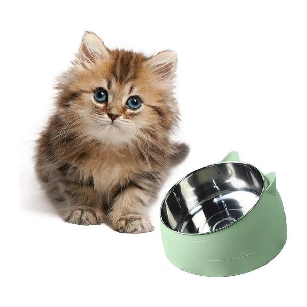 Warming Pet Bowl for Dogs and Cats with Heat Resistance and Comfortable Design