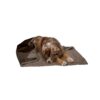 Warming and Waterproof Terry Sherpa Throw Blanket for Pets Espresso Large