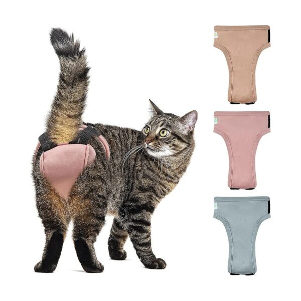 Washable Kitten Diapers for Untrained Female Cats Male Cats Comfortable Soft Fit