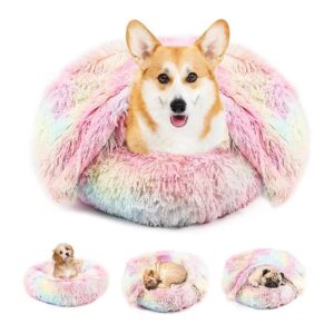 Washable Small Pet Bed with Detachable Blanket for Compact Cozy Comfort