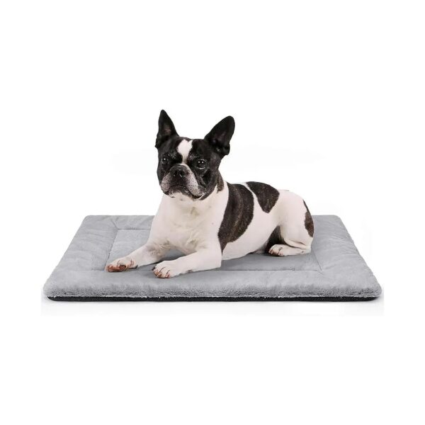 Washable and Durable Dog Bed Suitable for Medium Dogs Up to 35 Pounds